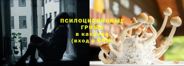 метадон Богданович