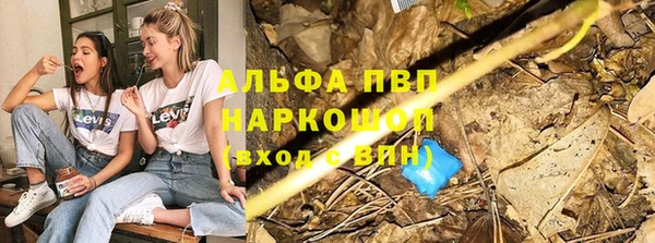 метадон Богданович