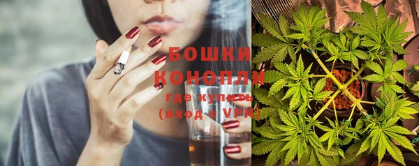 метадон Богданович