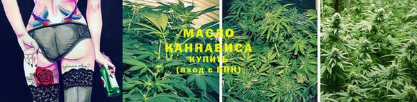 метадон Богданович