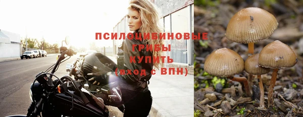 ешки Белоозёрский
